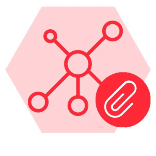 Zyxel - Licenza a termine (vita operativa)
